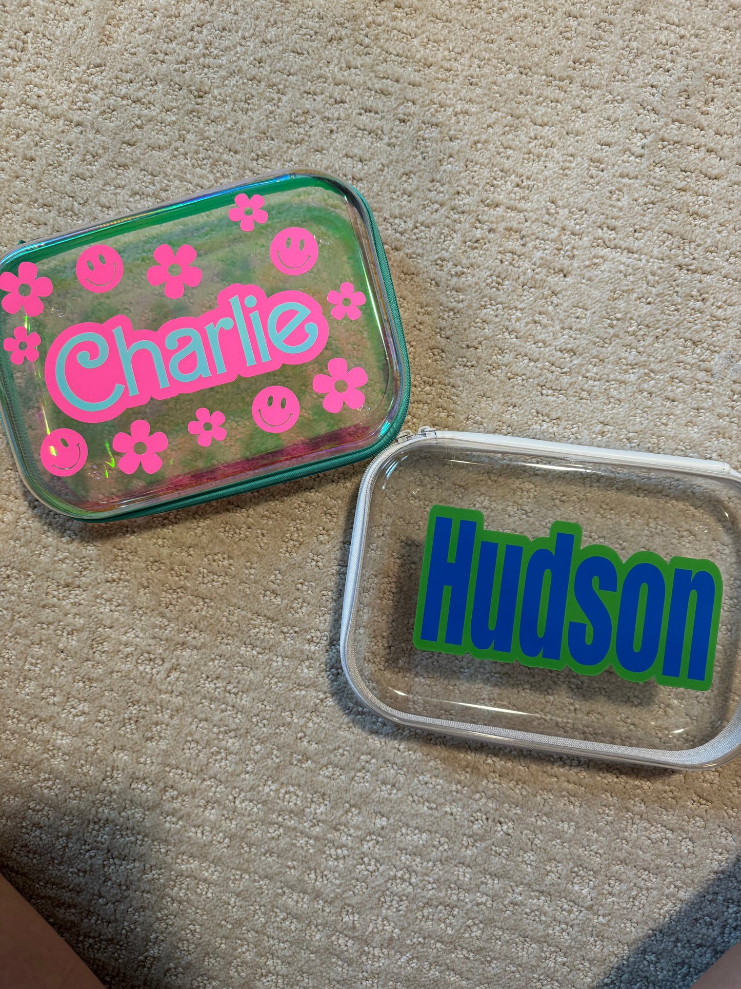 hard plastic zip case with decal